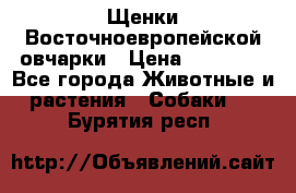 Щенки Восточноевропейской овчарки › Цена ­ 25 000 - Все города Животные и растения » Собаки   . Бурятия респ.